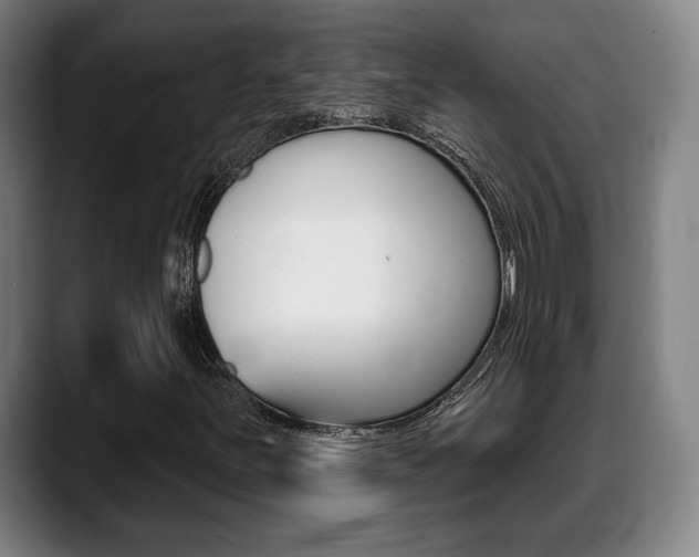 X0000089421251200706150957