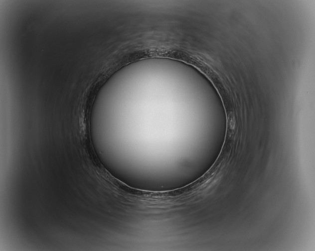 X0000089421252200706150957
