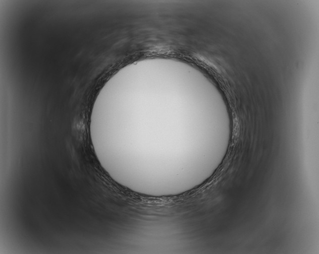 X0000089421254200706150957