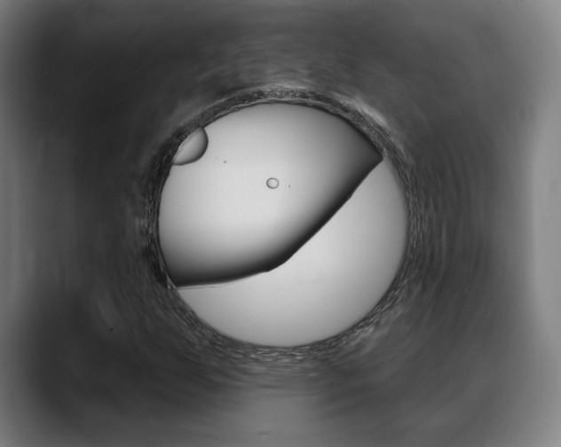 X0000089421255200706150957