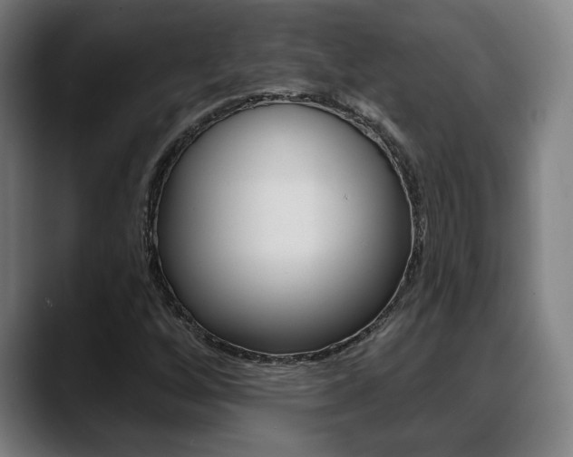 X0000089421256200706150957