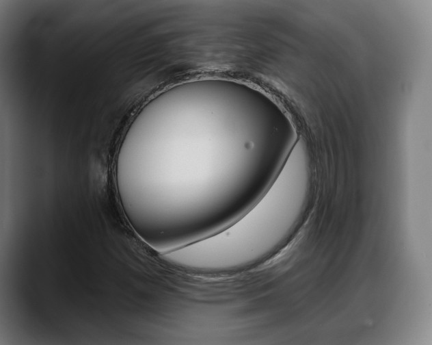 X0000089421257200706150957