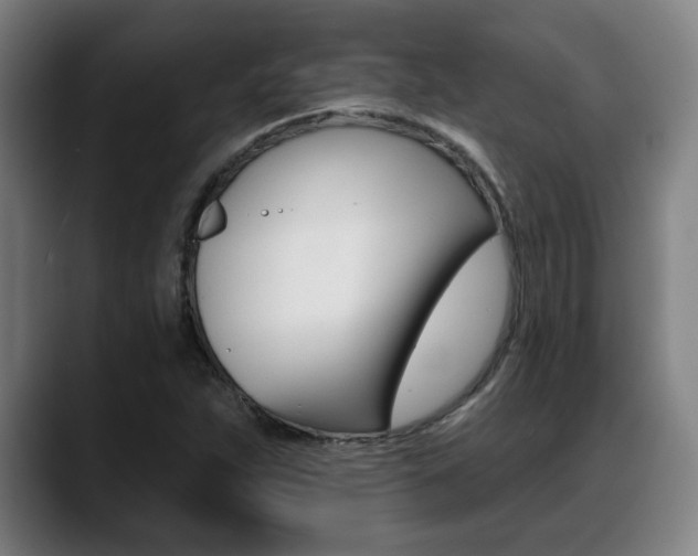 X0000089421263200706150957