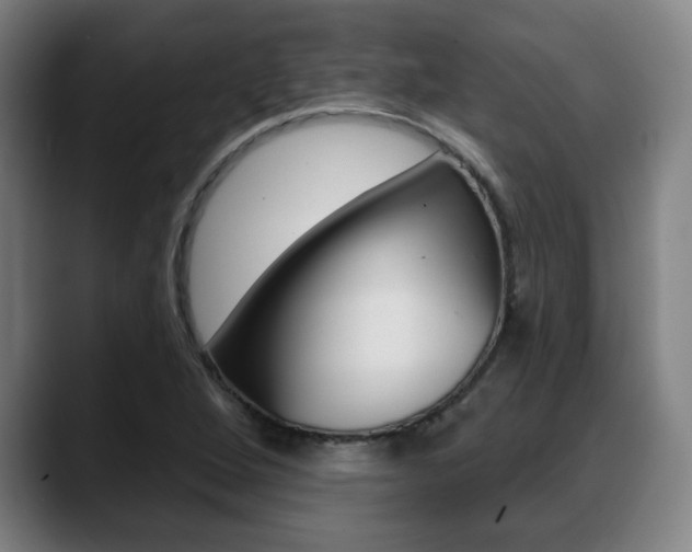 X0000089421264200706150957
