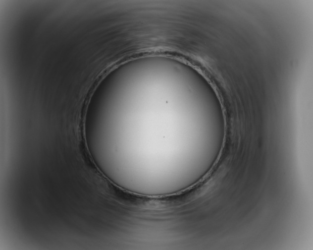 X0000089421265200706150957