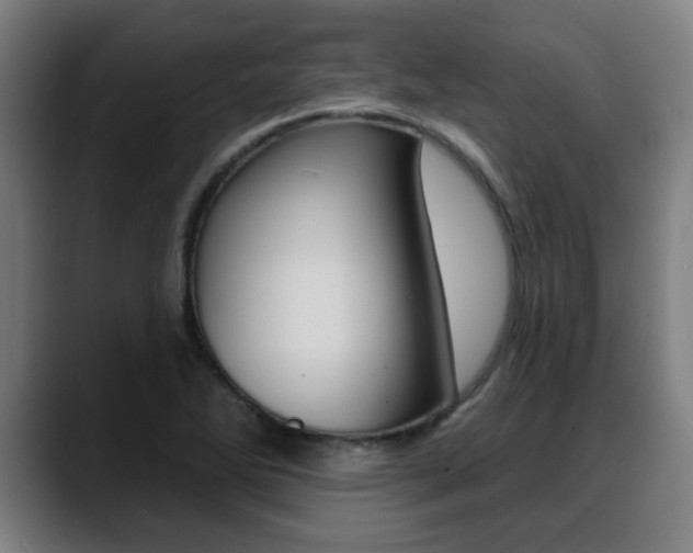 X0000089421270200706150957