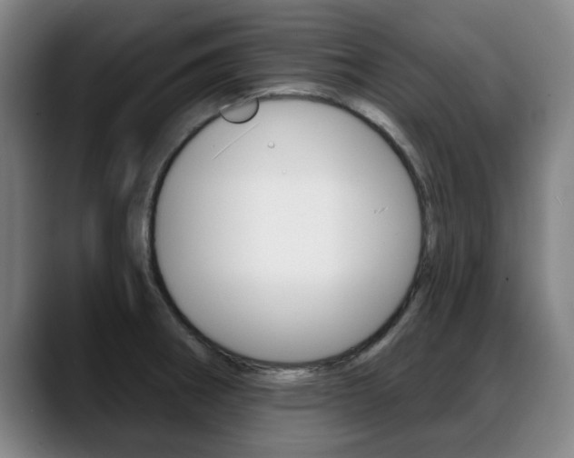 X0000089421282200706150956
