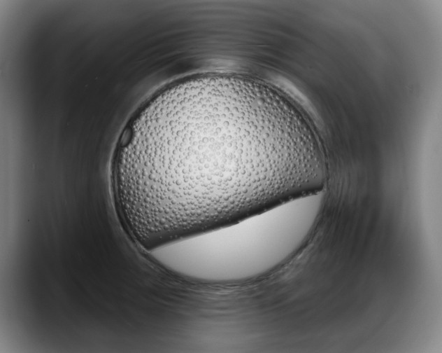 X0000089421283200706150956