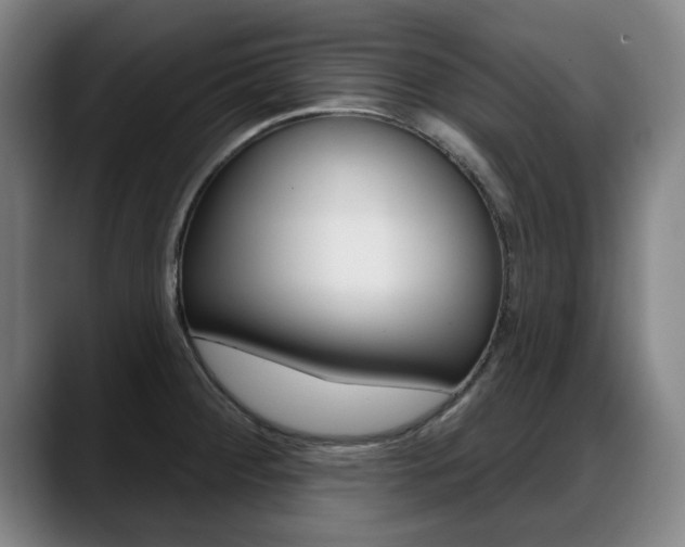 X0000089421284200706150956