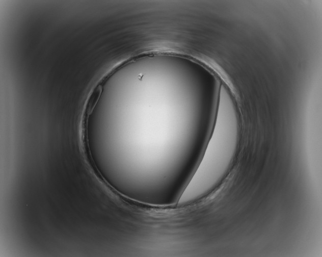 X0000089421285200706150956