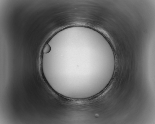 X0000089421286200706150956