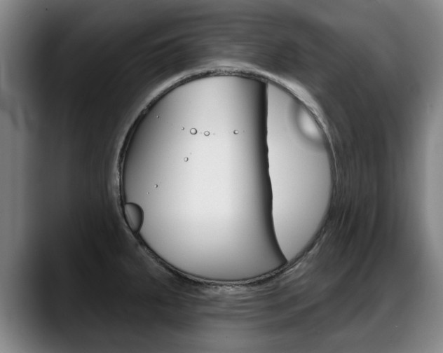 X0000089421287200706150956