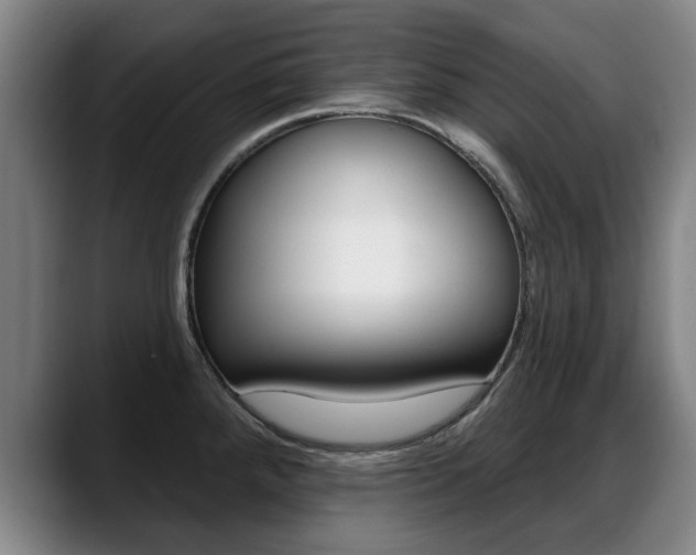 X0000089421288200706150956