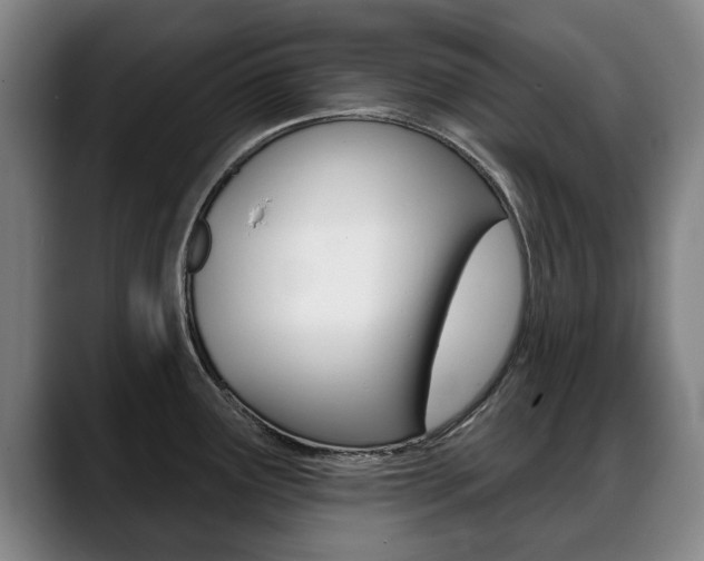 X0000089421291200706150956