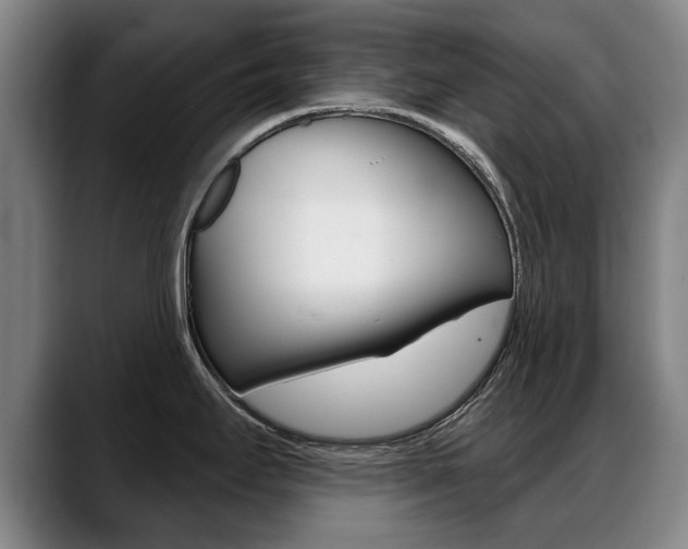 X0000089421295200706150956