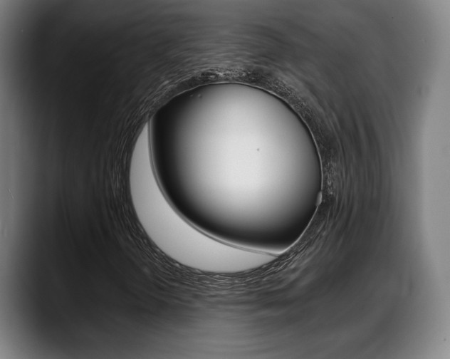 X0000089421298200706150956