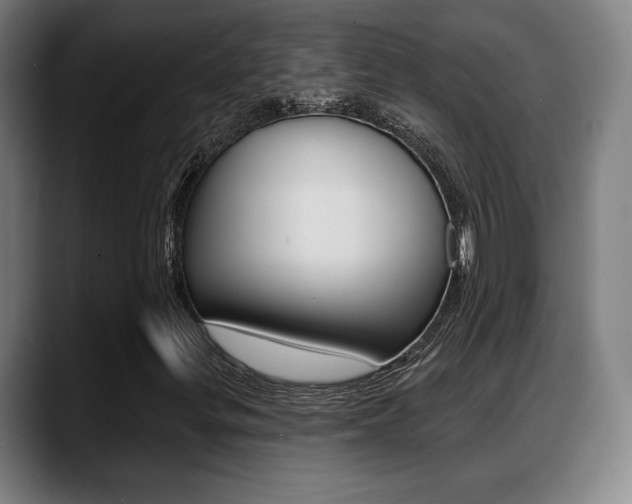 X0000089421299200706150956