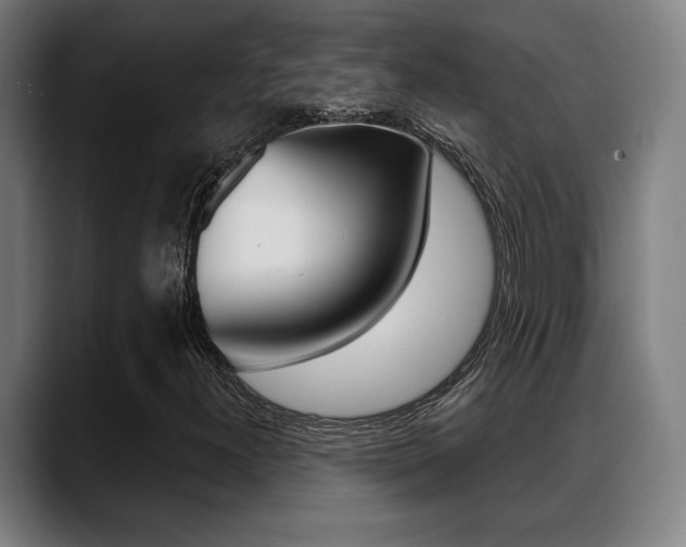 X0000089421300200706150956