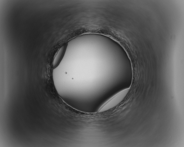 X0000089421301200706150956