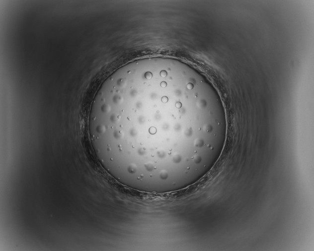 X0000089421302200706150956