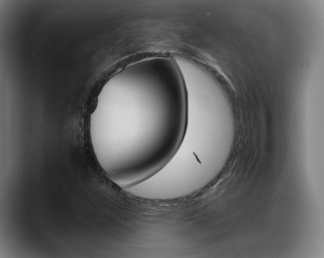 X0000089421304200706150956