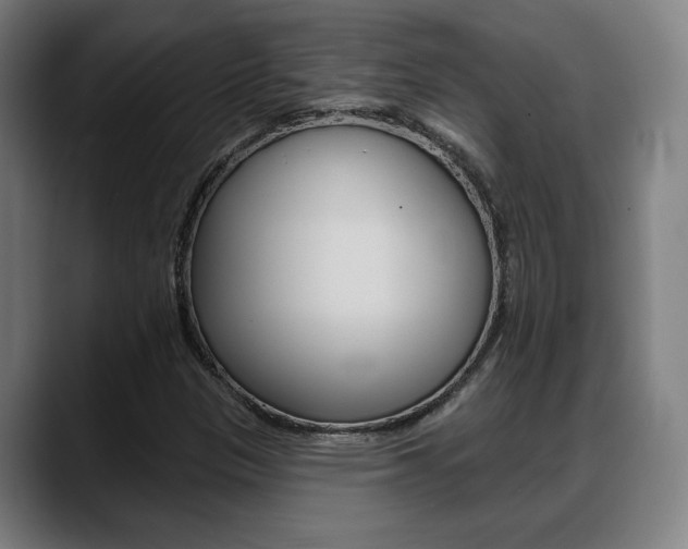X0000089421305200706150956