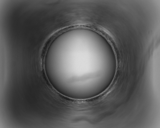 X0000089421310200706150956