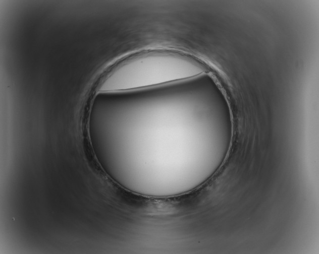 X0000089421311200706150956
