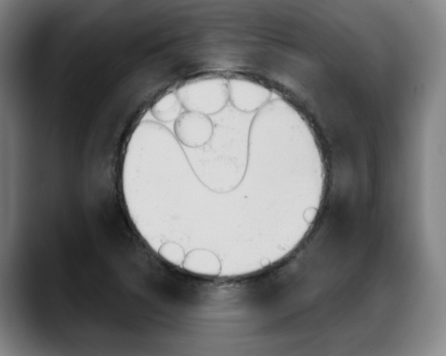 X0000089421314200706150956