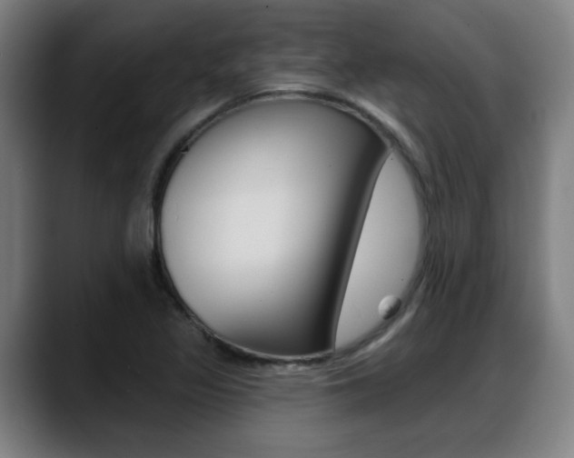 X0000089421317200706150956