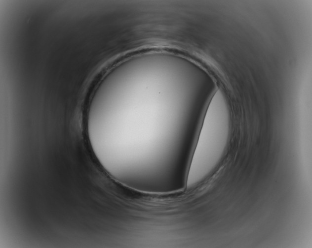 X0000089421318200706150956