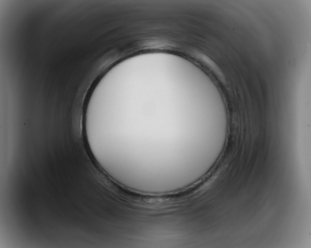 X0000089421322200706150956