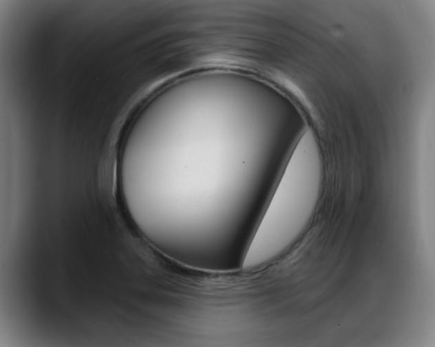 X0000089421323200706150956