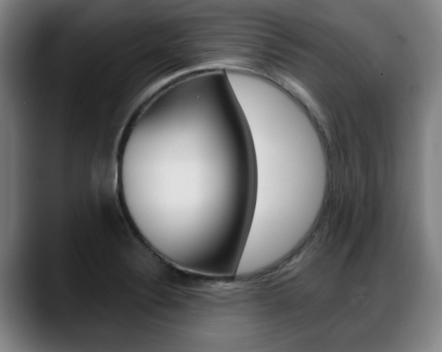X0000089421324200706150956