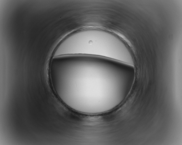 X0000089421325200706150956