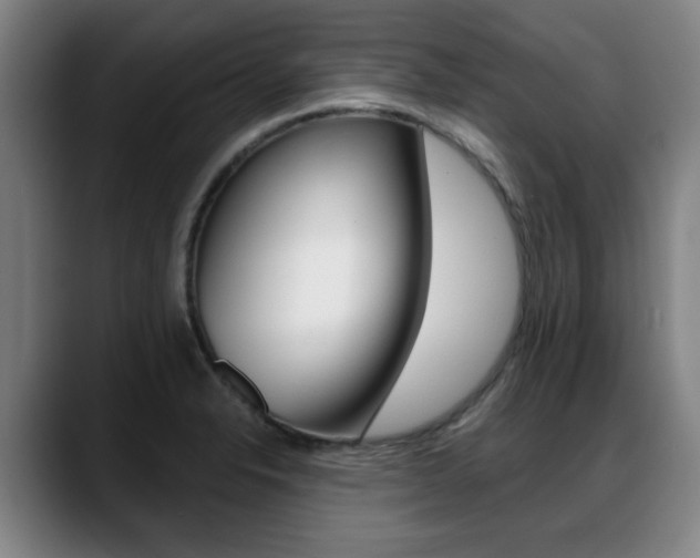 X0000089421326200706150956