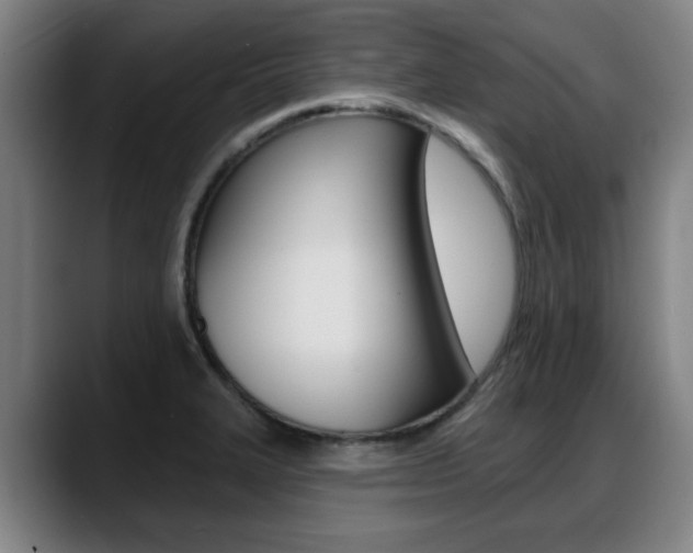 X0000089421327200706150956