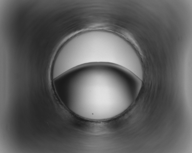 X0000089421328200706150956