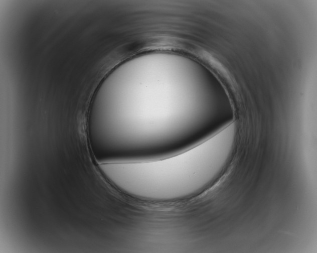X0000089421329200706150956
