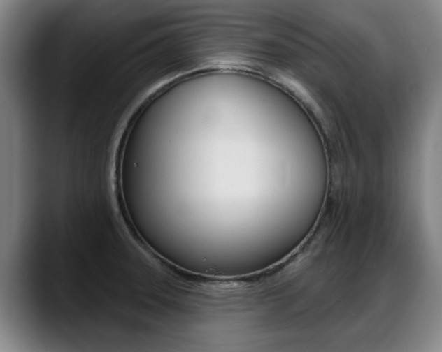 X0000089421331200706150956
