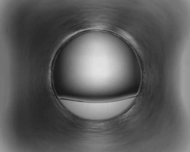 X0000089421332200706150956