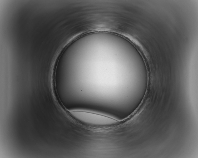X0000089421333200706150956
