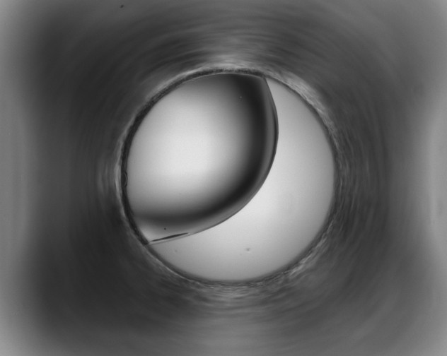 X0000089421334200706150956