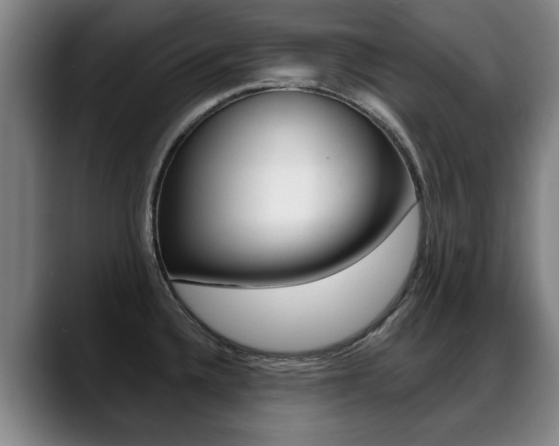 X0000089421336200706150956