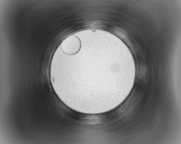 X0000089421338200706150956