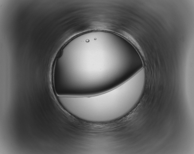 X0000089421339200706150956