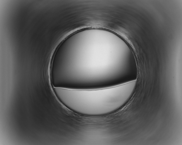 X0000089421343200706150956