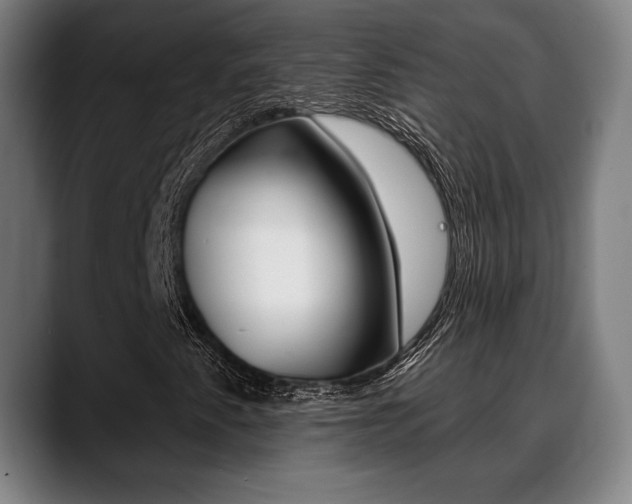 X0000089421345200706150956