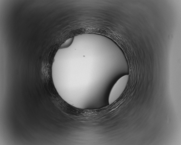 X0000089421346200706150956
