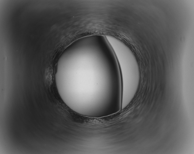 X0000089421348200706150956